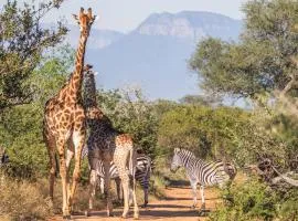 Afrikaya Bush Lodge