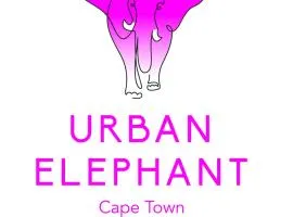 Urban Elephant Express, The Flamingo