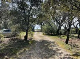 La bergerie