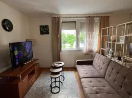 Apartment Plan A