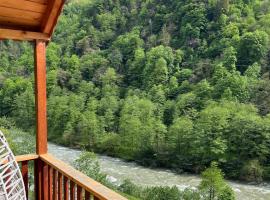 M'api Bungalow River View, hotel a Çamlıhemşin