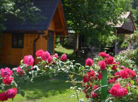 Ivona - Kuća za odmor Peru&scaron;ić - Stara Lika