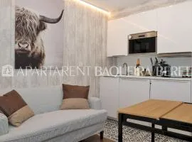 Apartarent 1500 - Estudio Àneu