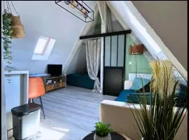 Le Perchoir "Cozy Appart"