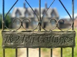 Rural Retreat near West Wittering Beach! Dog Friendly & Free Parking - Ideal Weekend Getaway! Chichester Holiday Properties