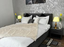 Muller Residence, apartmán v destinaci Temešvár