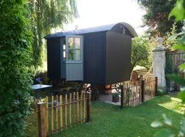 Brush Shepherd's Hut
