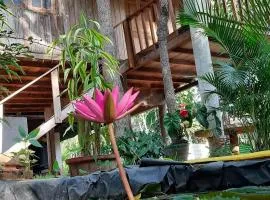 Ruk Sewana Villa Tree House