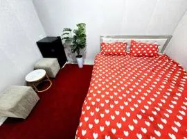 Apartments and rooms in Tashkent