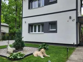 Apartmán Kocka na prízemí