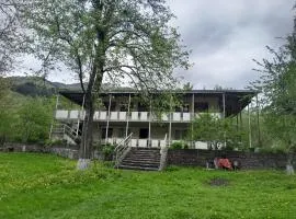 Mti House