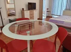 Apartments Košević