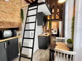 Le Petit Saint Georges, Hyper centre de Rennes