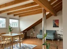Cozy loft with a view, central, close to tradefair