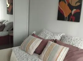 Cédrus Liget Apartman - Szeged