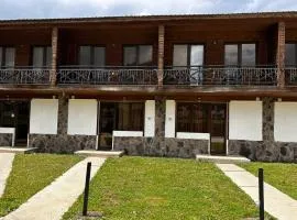 Apartment tipe house