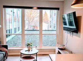 DT UMN 1 BD Gym Free Street Parking Rooftop