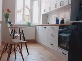 Apartament w centrum Biskupca