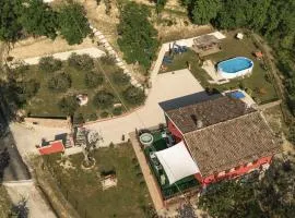 La Valle degli ulivi