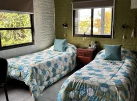 Pehuen Apartment