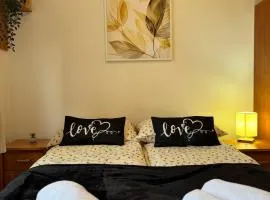Cozy Apartment near City Center