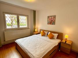 JAD Familiy 4 Rooms Apartment Racadau, hotel v destinaci Brašov