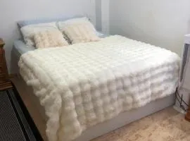 Habitación Privada en Piso Compartido - NR 2