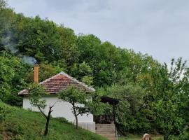 Domaćinstvo Ristović, hotel v mestu Banovo Polje