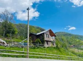 Villa Troi Kosovo Peje