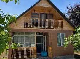 Green Field Cottage,Chakvi
