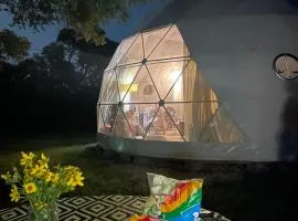 Dot's Spots Dome