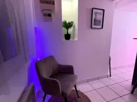 Le Duplex coeur de ville rue de bourgogne