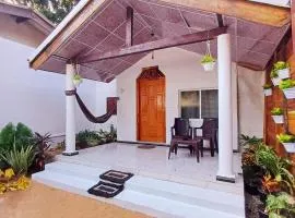 Salty Palm Villa