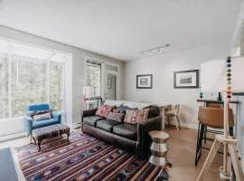Snowater Condo 90 - Wi-Fi - Pets Ok - Fireplace