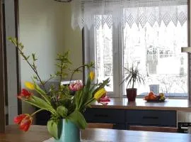 Meie Hiiumaa majutus Kärdlas
