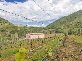 Podere Is Tres Fradis