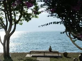 LIUBAI CUNSHU Seaview Resort Hotel