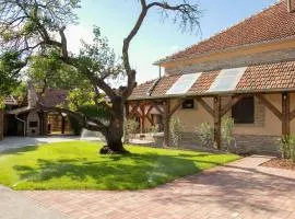 Vadvirág Apartman Gyula