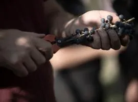 Bio Agriturismo Falezze