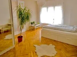 Radnóti hipster design flat