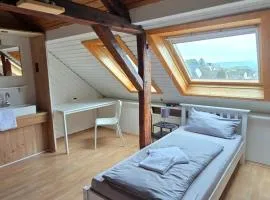 work & stay house in Linz