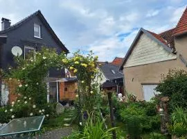 Hainichschäferei