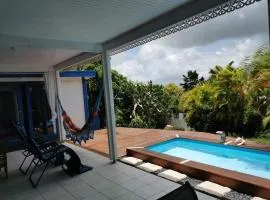 Chambre iguane
