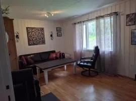 Apartment in the heart of Sunnmore