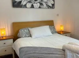 A1 Spacious 1 BR Apartment