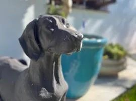 Helder Haven Cottage