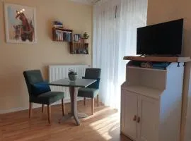 Ferienwohnung Shetty