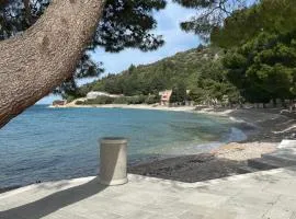RUŽA3