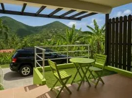 Charming Apartment in La Savane, 65 sqm with Terrace