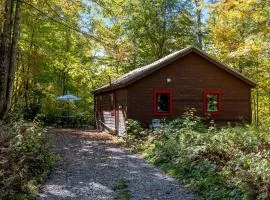 Charming Cabin in the Trees for a Getaway near Hanover, New Hampshire